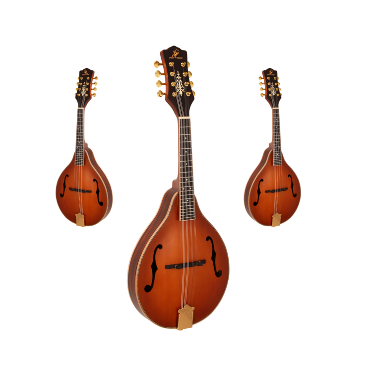 Musical Instrument Mandolin - 激安セール クラシック8弦楽器 マット仕上げマンドリン スプルース単板マンドリン