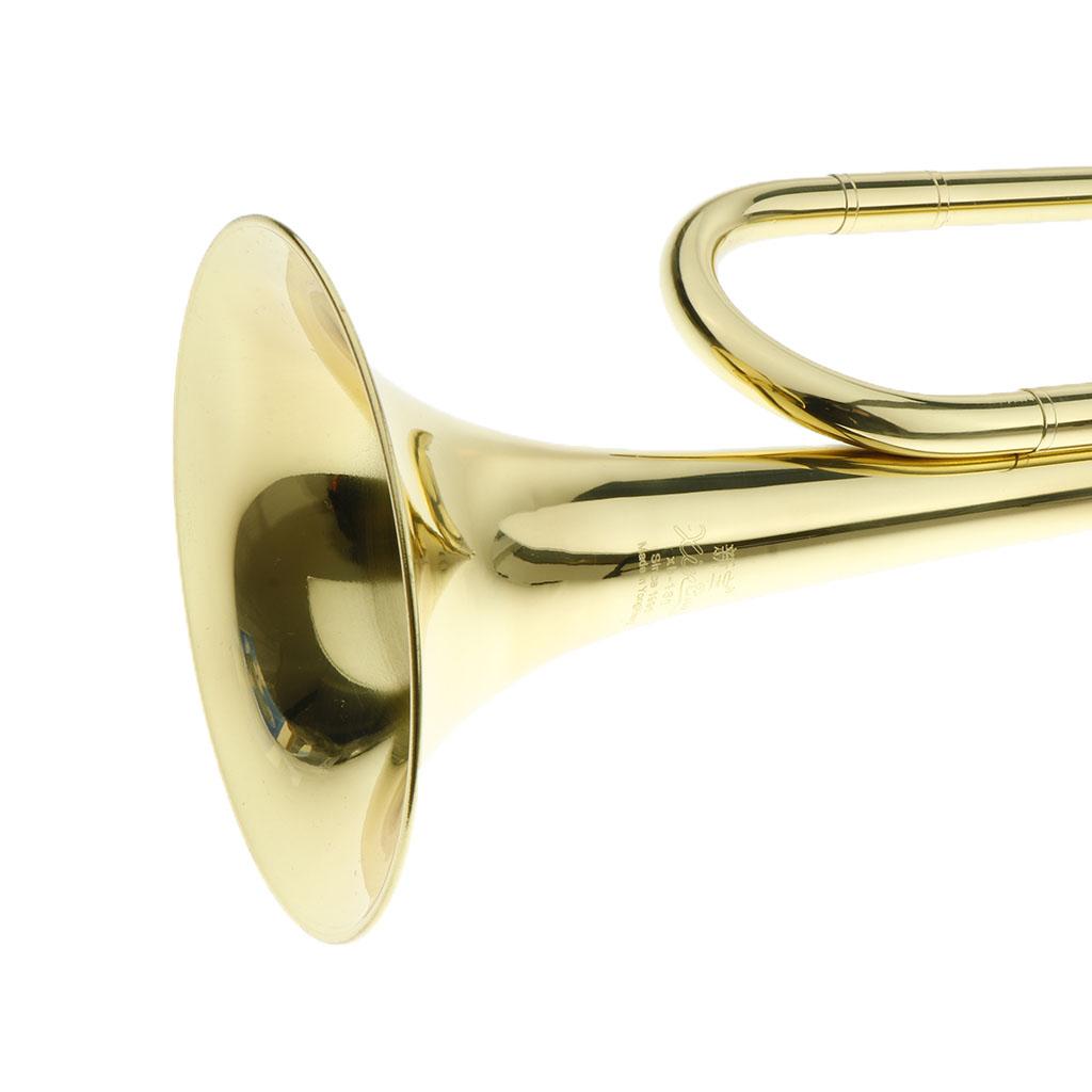 子供用トランペット金管楽器 ゴールデンビューグル ロングホー - Musical Instrument Horn のレビューと価格