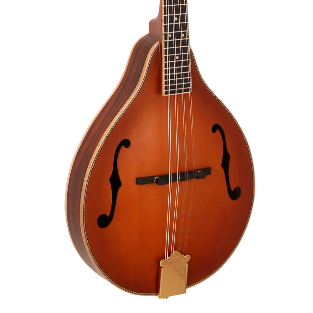 激安セール クラシック8弦楽器 マット仕上げマンドリン スプ - Musical Instrument Mandolin のレビューと価格