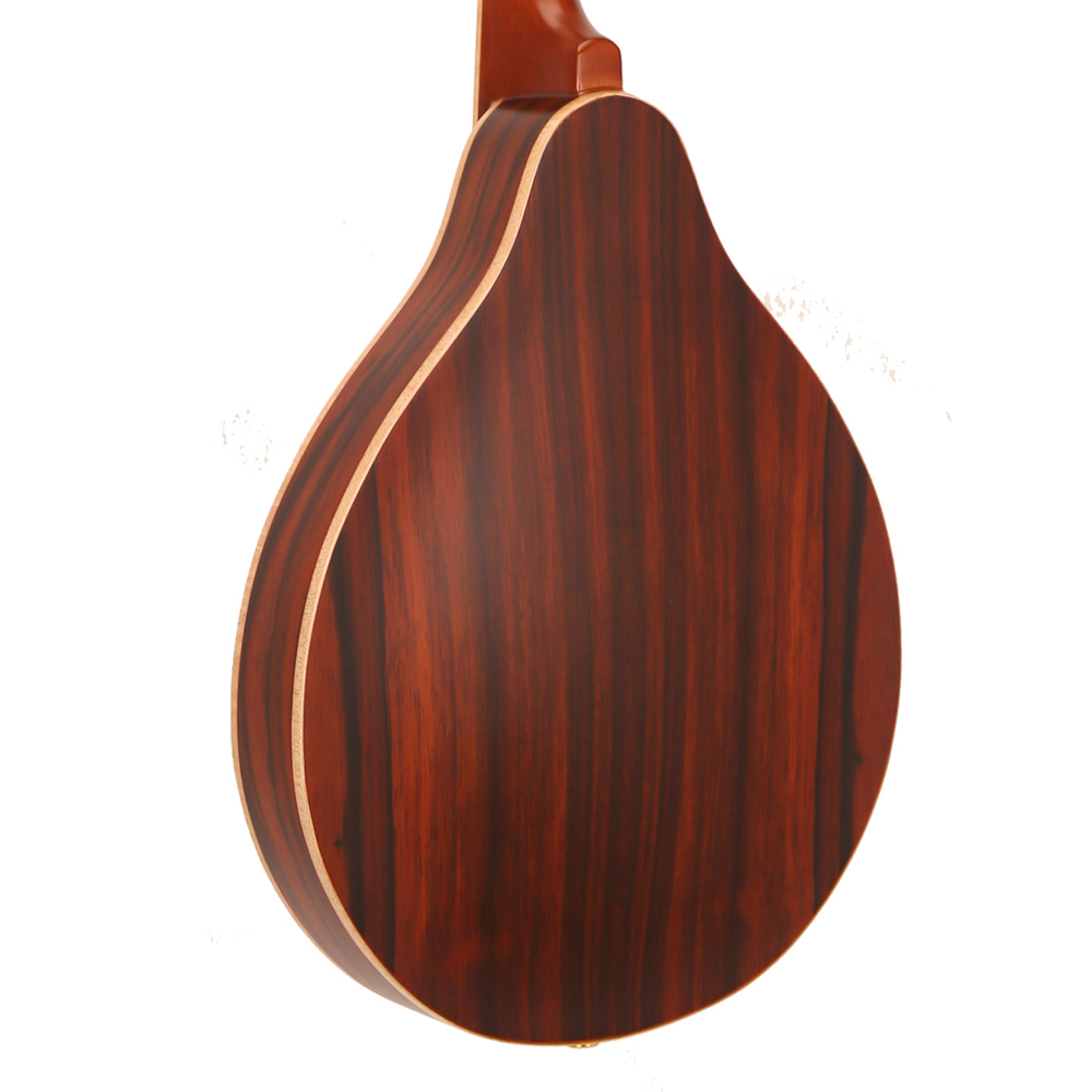 激安セール クラシック8弦楽器 マット仕上げマンドリン スプ - Musical Instrument Mandolin のレビューと価格