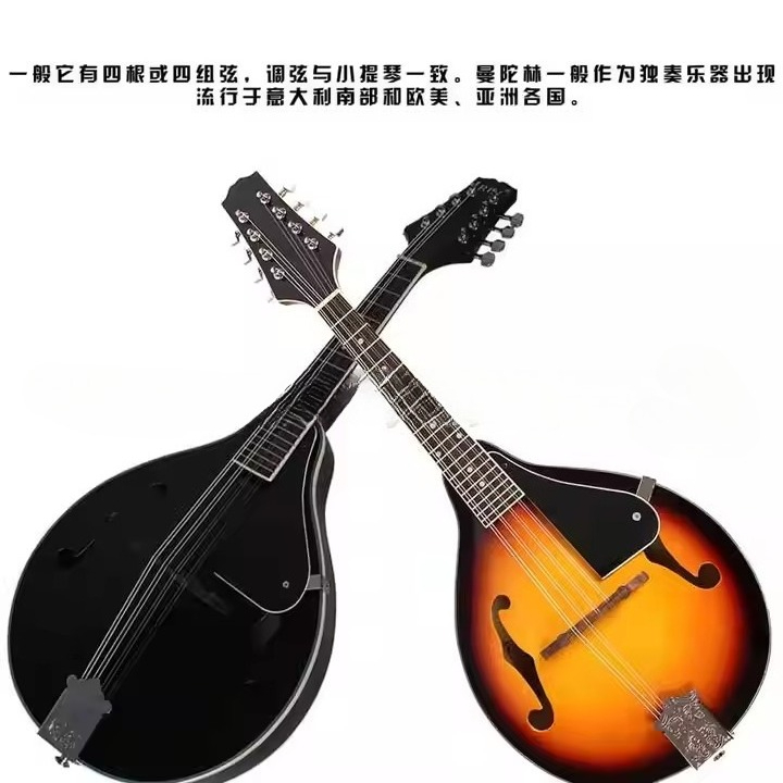 チベット民族楽器マンドリン プラック楽器 リンデンパネル サ - Musical Instrument Mandolin のレビューと価格
