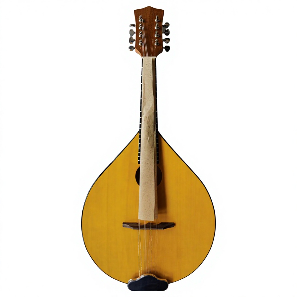 8弦アコースティックバンジョー、バスウッドバック＆サイド、マ - Musical Instrument Mandolin のレビューと価格